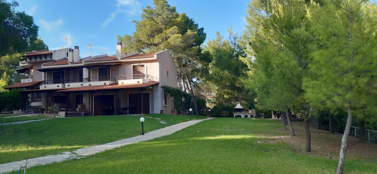 Apartmán Sithonia Alekos Luxury Experience Metamorfosi  Exteriér fotografie