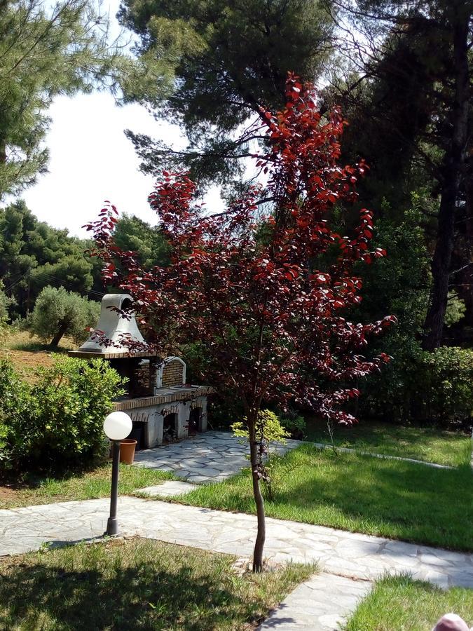 Apartmán Sithonia Alekos Luxury Experience Metamorfosi  Exteriér fotografie